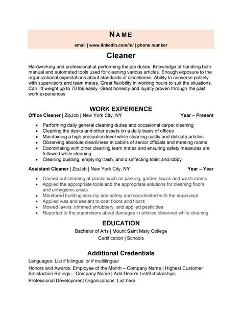 Resume For Cleaning Person - School Cleaner Cv Example August 2021 | Best Photo Shots