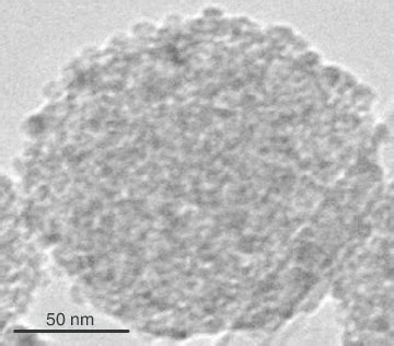 TEM Picture Of Cerium Oxide Surface Decorated Porous Silica Particle