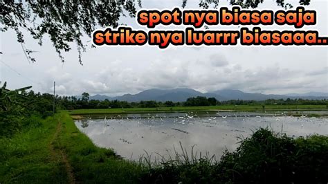 Mancing Di Spot Biasa Strike Nya Luar Biasa Ll Mancing Di Parit Ll