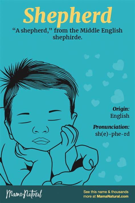 Shepherd Name Meaning Origin Popularity Boy Names Like Shepherd