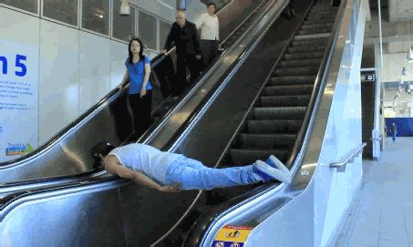 The Plank GIFs - Find & Share on GIPHY