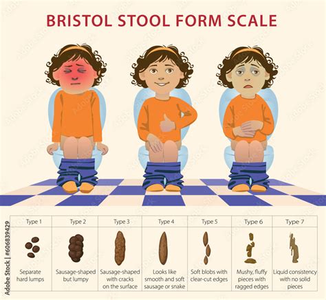 Bristol Stool Scale Table Medical Diagnostic Infographics Different