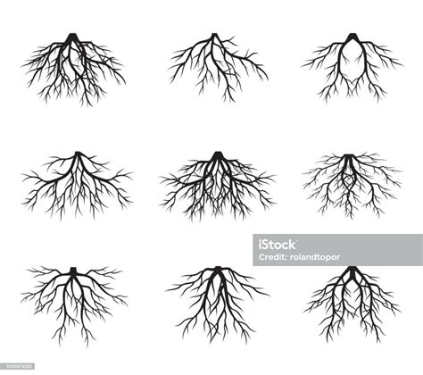 Ensemble Darbres Illustration De Contour Vectoriel Planter Dans Le