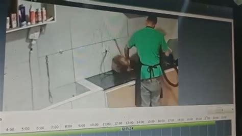 Funcionário De Pet Shop Queima Olho De Cachorro Com Secador Durante O