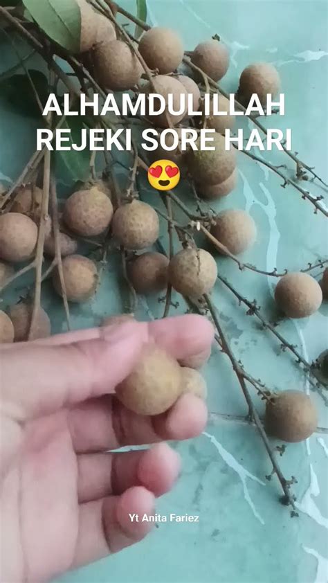 REJEKI TAK TERDUGA DATANGNYA DARI MANA SAJA Rejeki Shorts Garden