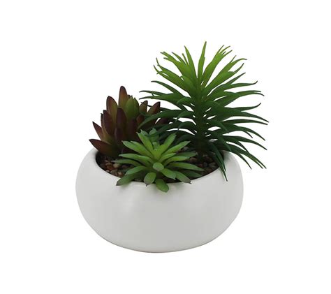 Artificial Succulent Arrangement – Tiendasui