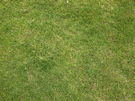 Image After Photos Grass Texture Field Meadow