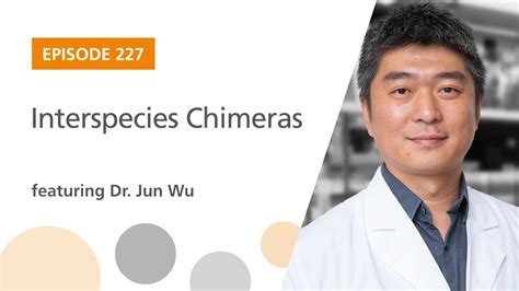 Interspecies Chimeras Featuring Dr Jun Wu The Stem Cell Podcast