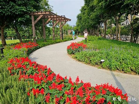 新北樹林賞花秘境｜北大特區草花植生公園：繡球花一串紅粉萼鼠尾草梔子花共17種花卉四季盛開！近樹林萬坪公園放電新去處 銀髮一起玩