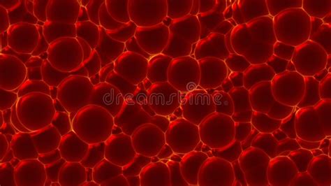 Blood Cells or Bacteria Under Microscope Stock Illustration ...