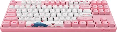 Akko Mechanische Gaming Tastatur Rosa Wired Tkl Compute Keyboard