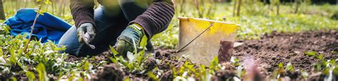 Garten fit für den Frühling machen mit hagebau