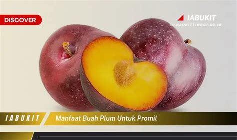 Temukan 7 Manfaat Buah Plum Untuk Promil Yang Bikin Kamu Penasaran