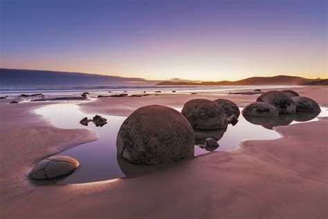 Otago Peninsula wildlife location in New Zealand, Australasia ...