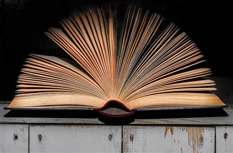 book wall, books, wall, decorative, interior, interior wall, room, home