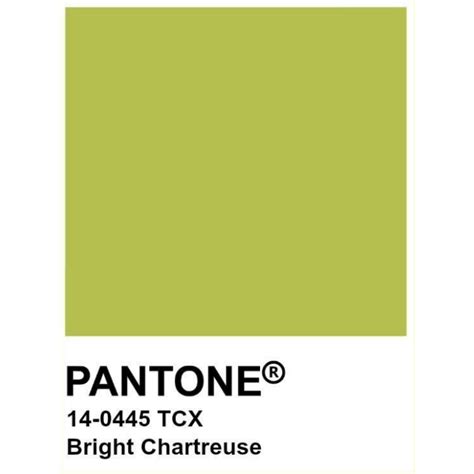 Yellow Color Pantone 62 Photo