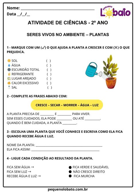 Atividade De Ciências 2 Ano Para Imprimir - Atividades de Ciências 2º Ano para Imprimir