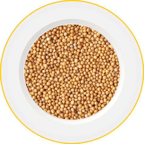 Mustard Seeds Sinapis Alba UFoodin