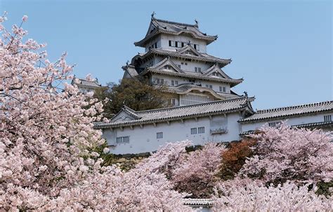 Top 5 Cherry Blossom Viewing Spots In Hyogo All About Japan