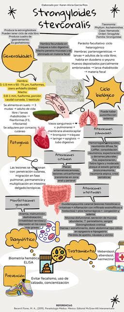 Strongyloides Stercoralis KAREN ALICIA GARCIA RIOS UDocz