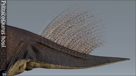 Psittacosaurus Feathers