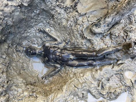 I ritrovamenti archeologici di SAN CASCIANO DEI BAGNI (Siena): nascita ...