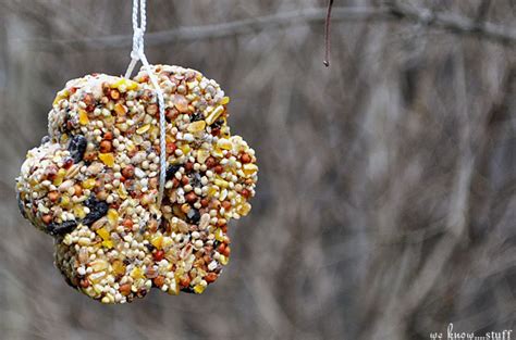 DIY Bird Seed Feeders: Easy To Make, Nature-Friendly Kids Craft