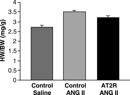 The Effect Of At R Transduction On Cardiac Hypertrophy Following Ang Ii