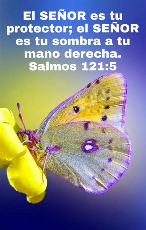 Versiculos Biblicos De Bendicion Rachel En La Biblia Versos Biblicos