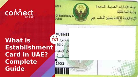 Uae Establishment Card Comprehensive Guide For Businesses