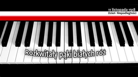 Rozkwitały pąki białych róż PIANINO YouTube