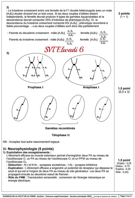 Bac Sc Expérimentales Sciences Svt Bac Svt Session Principale 2022