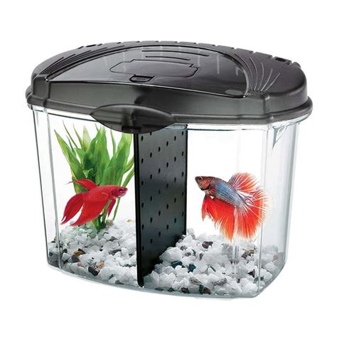 Aqueon Betta Bowl Kit Black 5 Gallon