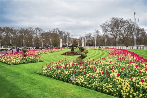 17 Buckingham Palace Garden Pink Flowers Royalty-Free Images, Stock ...