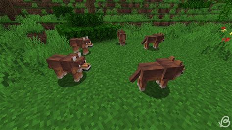 Toutes Les Variantes De Loups Dans Minecraft Et Où Les Trouver Tech