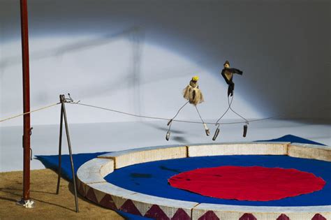 Il Circo In Miniatura Di Calder Che Attravers L Atlantico Per