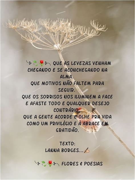 Pin De Isabel Brennand Em Bel Mensagens Frases Abra O