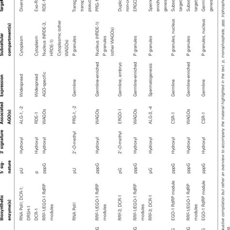 Summary Of C Elegans Small Rna Pathways Discussed In This Review