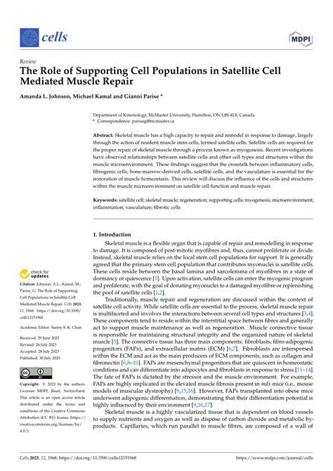 Pdf The Role Of Supporting Cell Populations In Satellite Cell