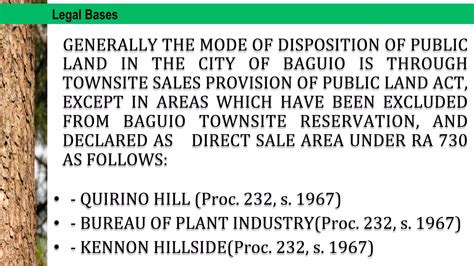 The Overall Land Situation Of Baguio City Issues And Challenges Ppt