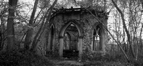 Shellhawks Nest Ancient Wood