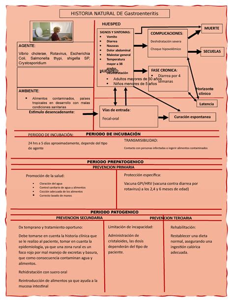 Historia Natural De La Enfermedad Gastroenteritis Dx Temprano Y The