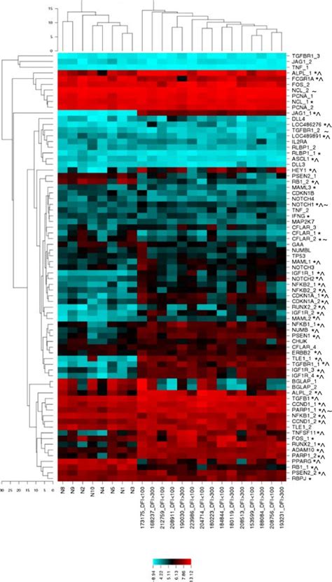 Differential Expression Of Notch HES1 Associated Genes In Canine