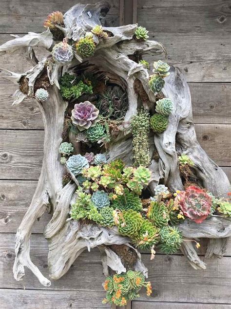 Rustic Garden Design Ideas