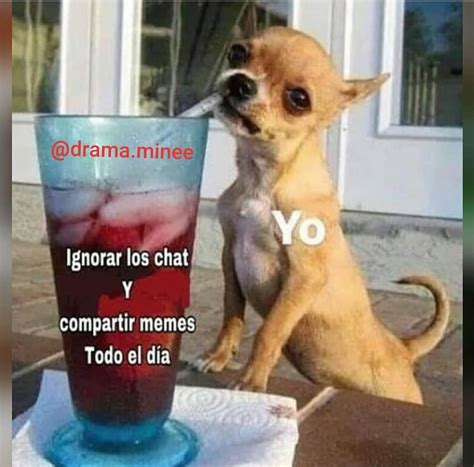 Ignorar los chat y compartir memes todo el día Yo Memes