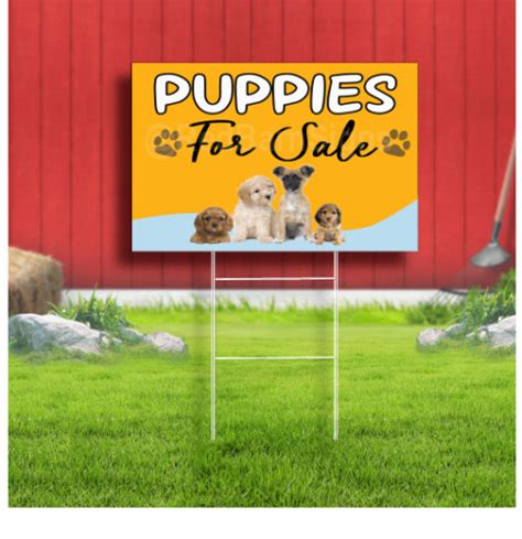 Puppies For Sale Coroplast Sign Plastic Indoor Outdoor Yard Sign Ebay