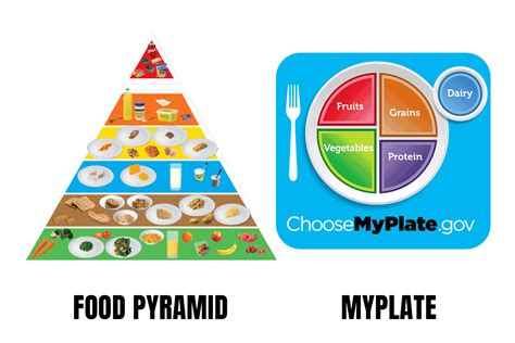 New Food Pyramid 2023 - What to know about the Mediterranean diet ...