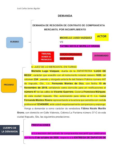 PARTES DE UNA DEMANDA RECURSO AMPARO Y SENTENCIA