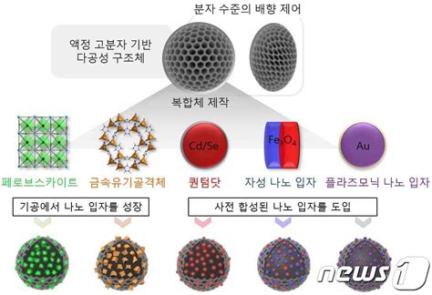 Kaist 액정 고분자 자기조립 활용 복합체 형성 원천기술 개발 뉴스1