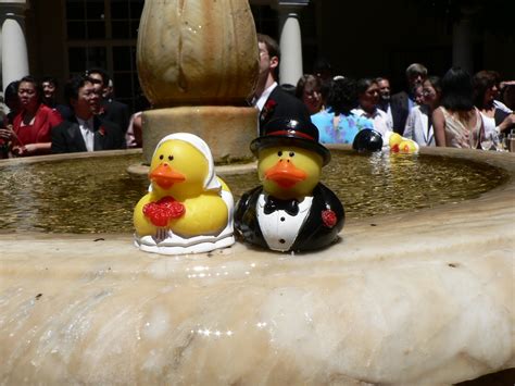 Duckie Couple Naotake Murayama Flickr